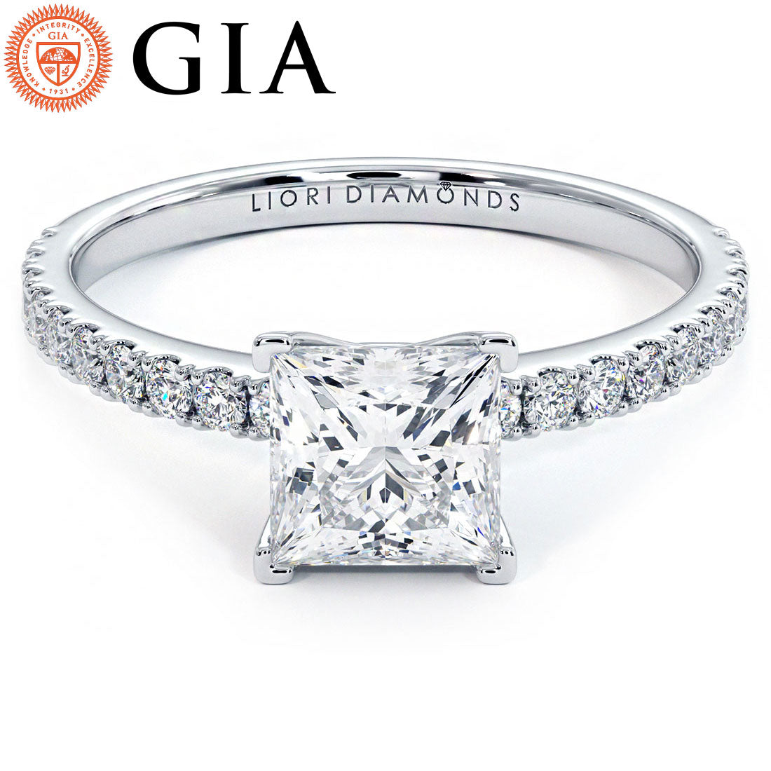 1 Carat Princess Cut Petite Micro Prong Set