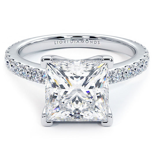 4.59ctw Princess Cut F-VVS2 Petite Micro Prong Set Lab Grown Diamond Engagement Ring set in 14k White Gold
