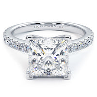 4.59ctw Princess Cut F-VVS2 Petite Micro Prong Set Lab Grown Diamond Engagement Ring set in 14k White Gold