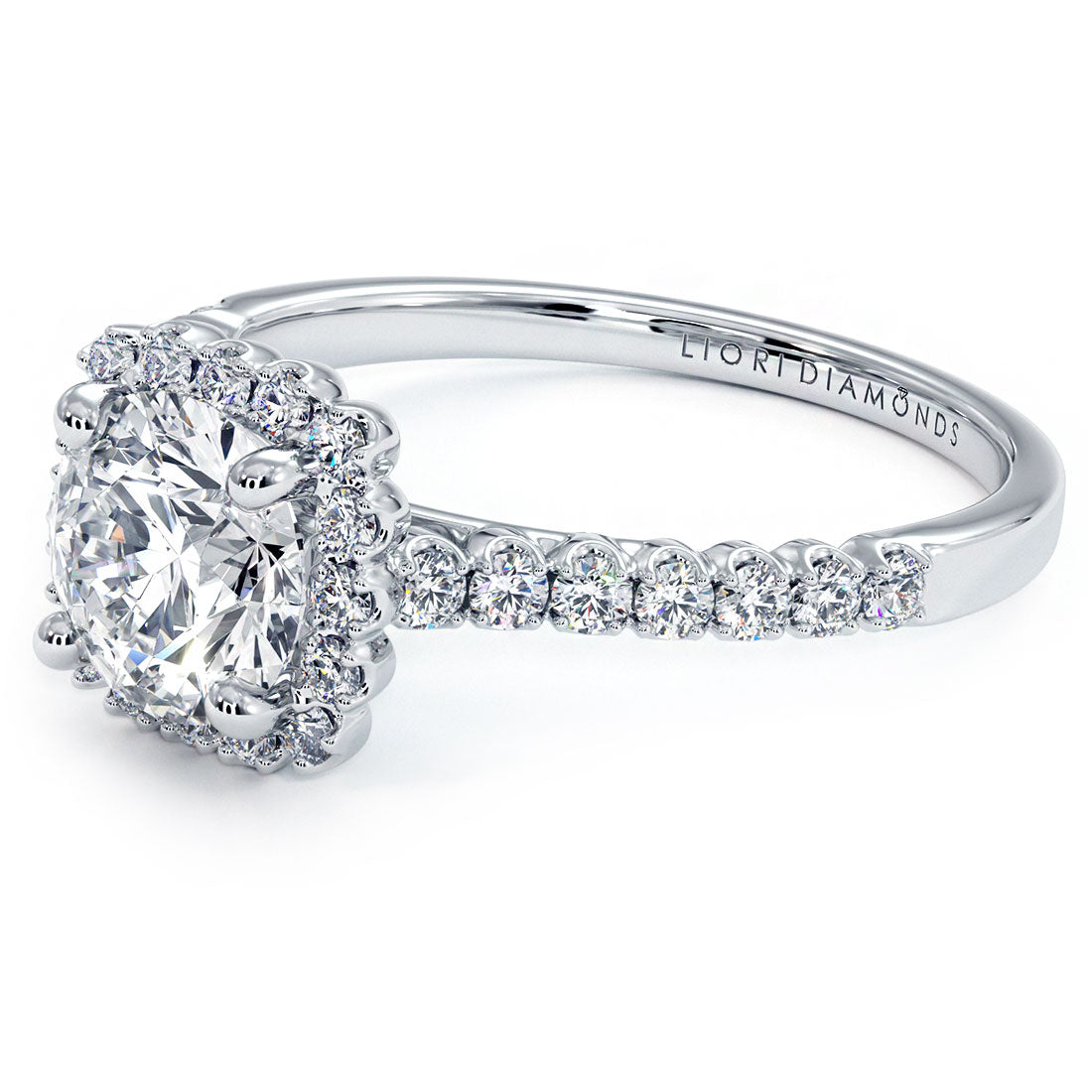 EOM-282-RD-100-Home Try On