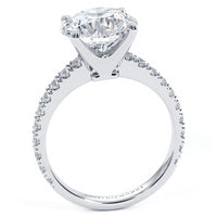 3 Carat Round Brilliant Petite Micro Prong Set