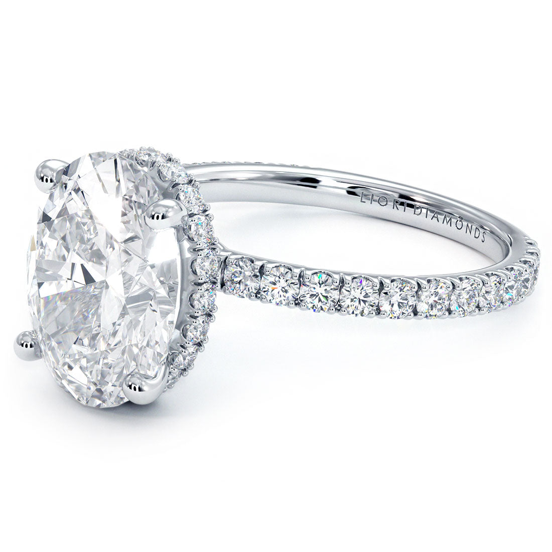 EOM-382-OV-300-Home Try On