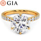 3.73ctw GIA Certified Round Brilliant Micropavé 6 Prong Petite Lab Grown Diamond Engagement Ring 14k Yellow Gold
