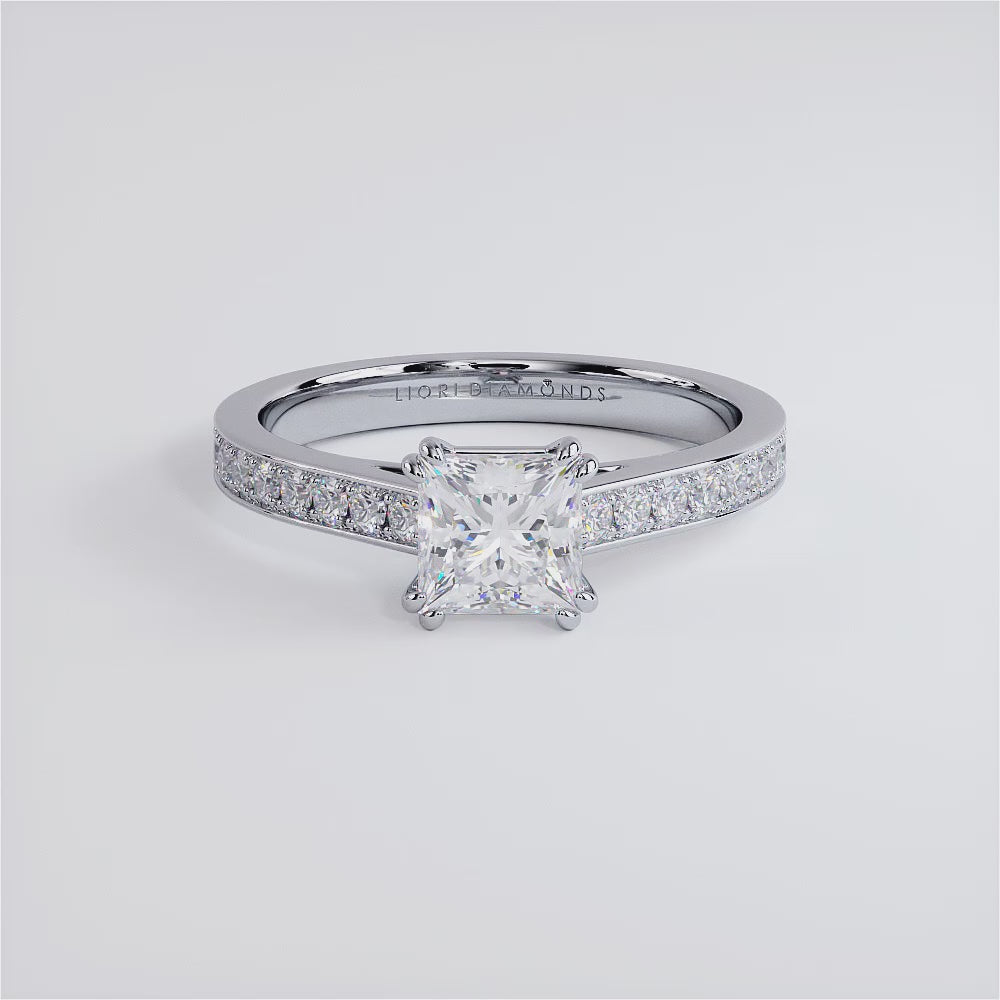 1 Carat Princess Cut Petite Micropavé Cathedral
