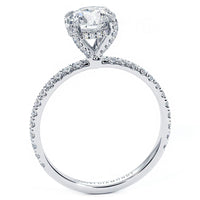 1.5 Carat Round Brilliant Petite Micropavé Eagle Prongs