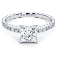 1 Carat Princess Cut Petite Micro Prong Set