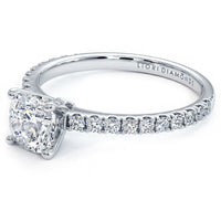 1 Carat Cushion Cut Petite Micro Prong Set