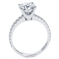 2 Carat Cushion Cut Petite Micro Prong Set