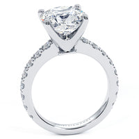 4 Carat Cushion Cut Petite Micro Prong Set