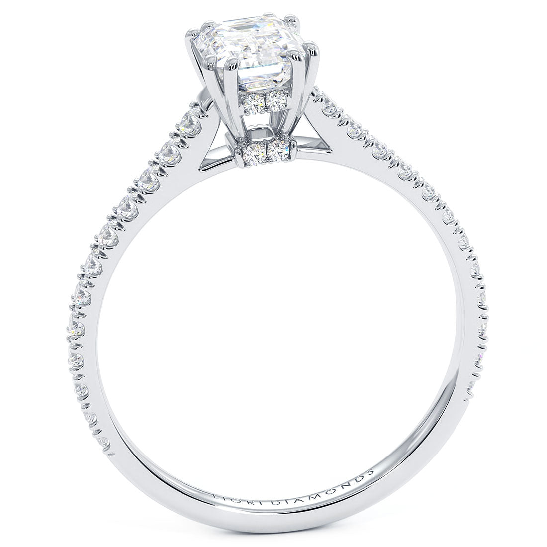 1 Carat Emerald Cut Petite Micro Prong Set